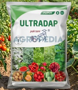 Ultradap Paktani 1 kg